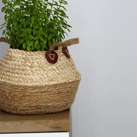 το σπίτι της γιαγιάς - Granny's Guest's House Apartament